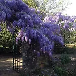 Pensjonat Gentilini Retreat Argostoli (Kefalonia)