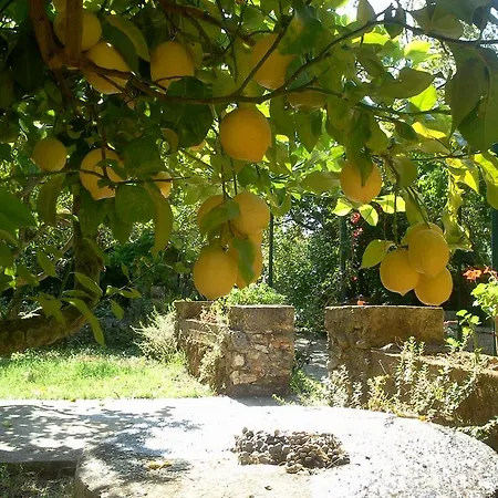 Guest house Gentilini Retreat 3*
